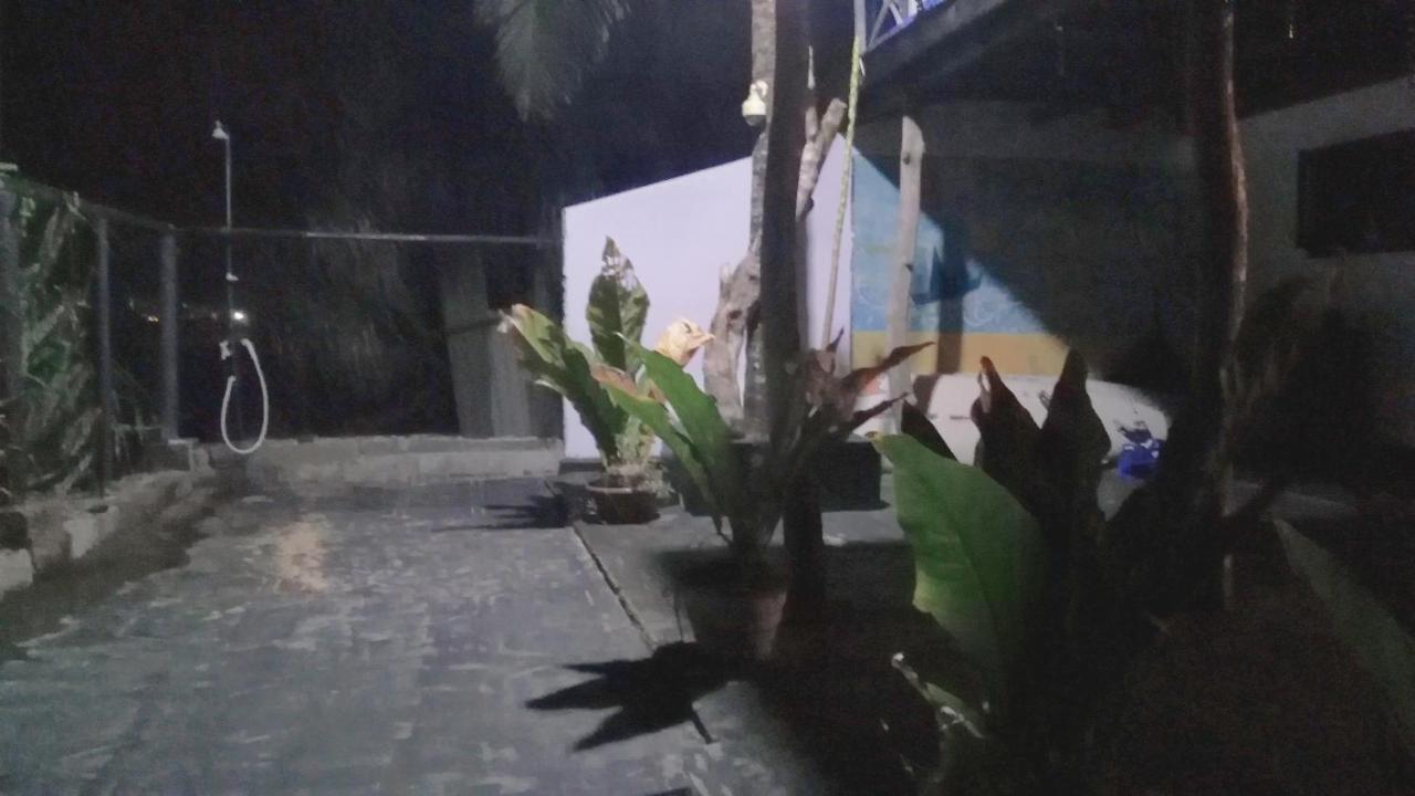 Crocodile 3* Hikkaduwa