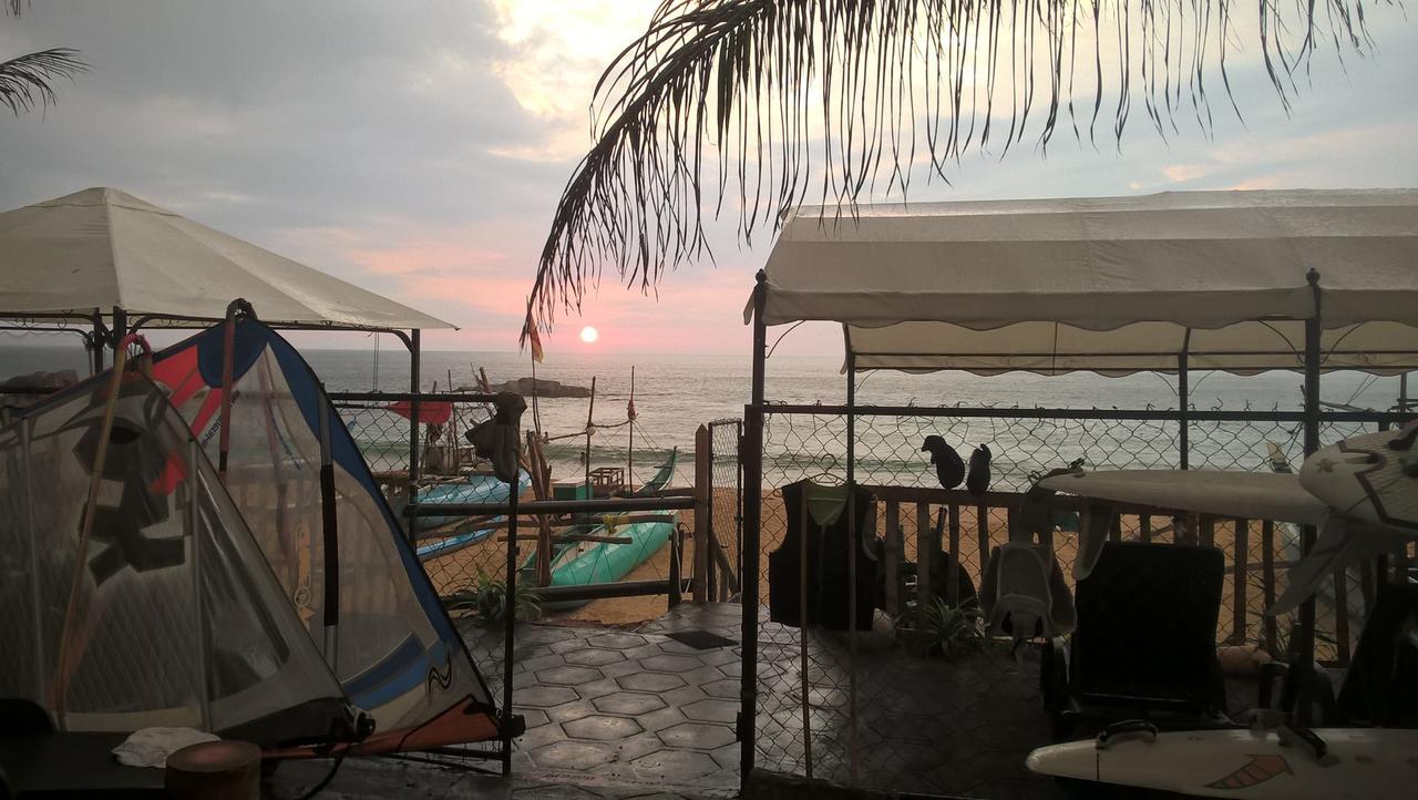 Crocodile 3* Hikkaduwa