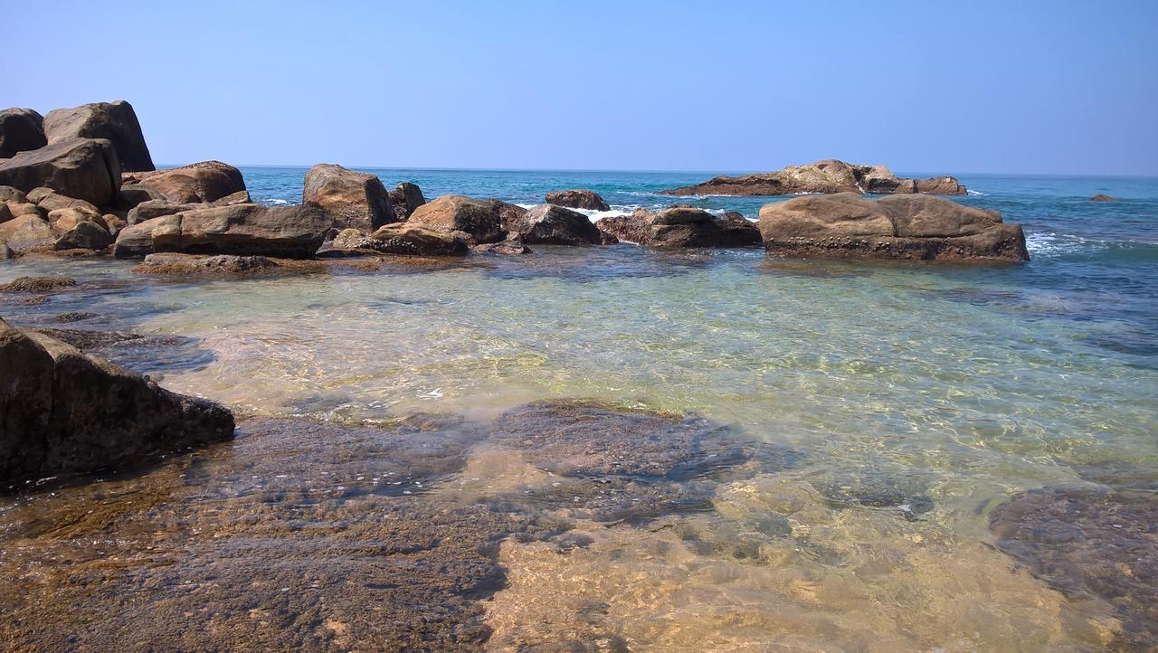 Crocodile 3* Hikkaduwa