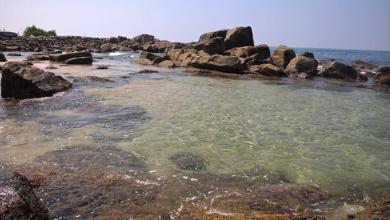 Crocodile 3* Hikkaduwa
