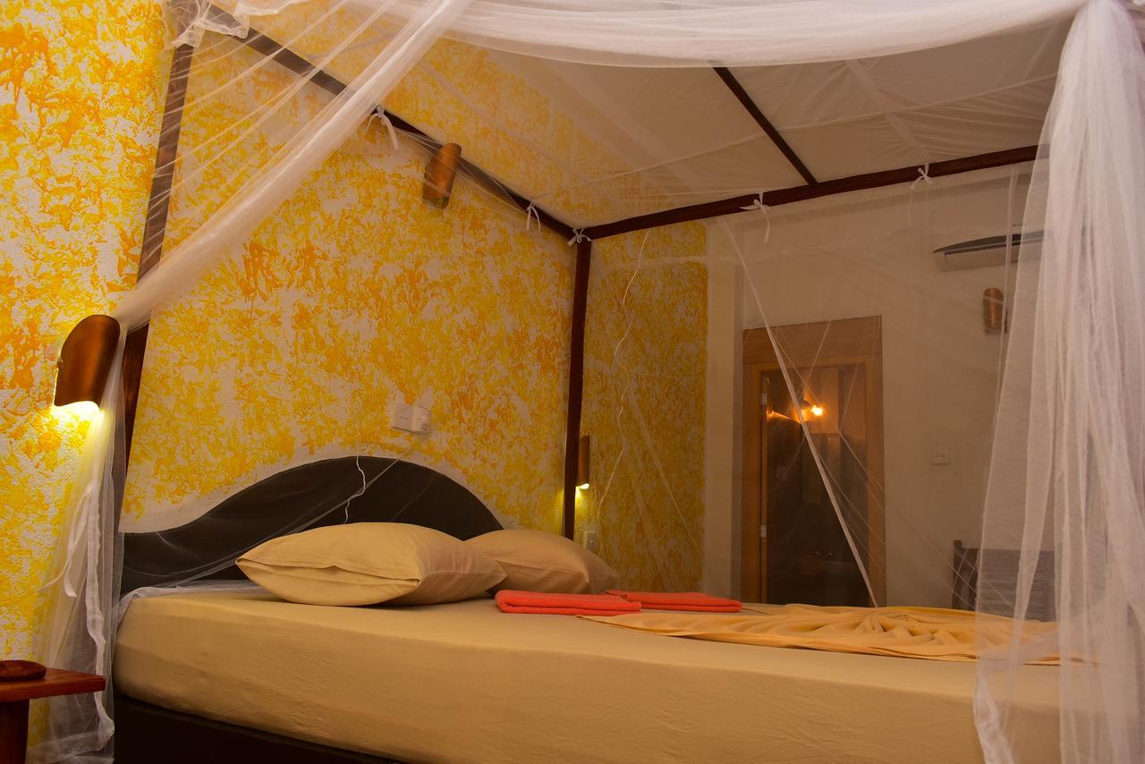 Bed & Breakfast Crocodile 3*