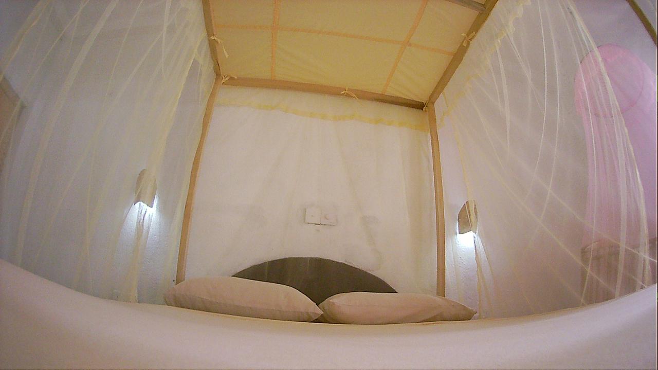 Bed & Breakfast Crocodile 3*
