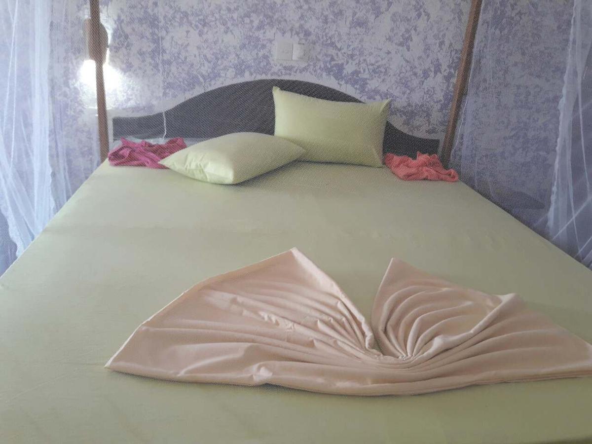 Bed & Breakfast Crocodile 3*